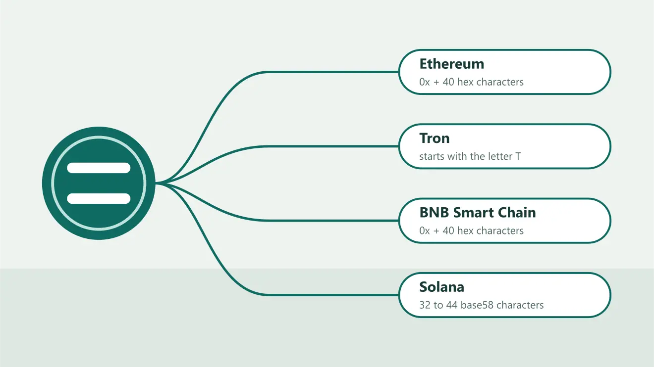 One Tether coin leaving a wallet along four routes: Ethereum, Tron, BNB Smart Chain and Solana